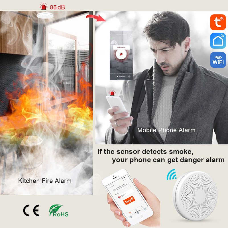 2 in 1 Version WiFi Tuya Smart - Smoke Detector Interconnected 评论和价格