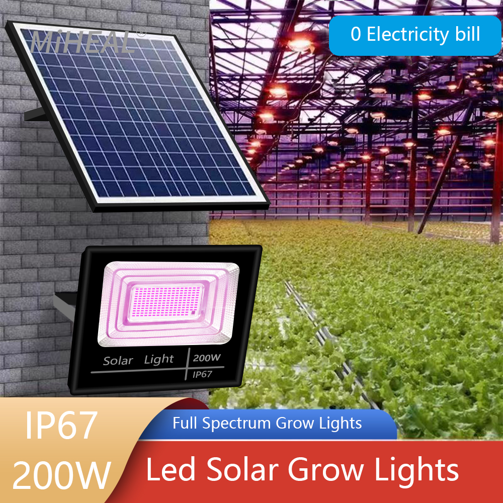 LED Full Spectrum Phyto Lamp 2 - Power Outage Light 评论和价格