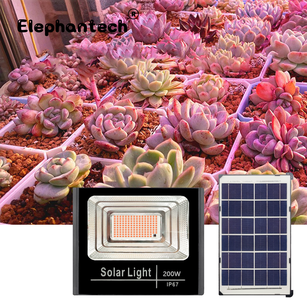 LED Full Spectrum Phyto Lamp 2 - Power Outage Light 评论和价格