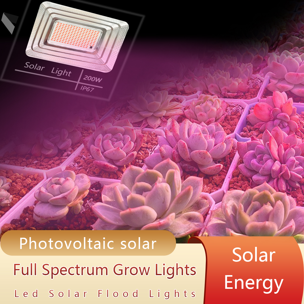 LED Full Spectrum Phyto Lamp 2 - Power Outage Light 评论和价格