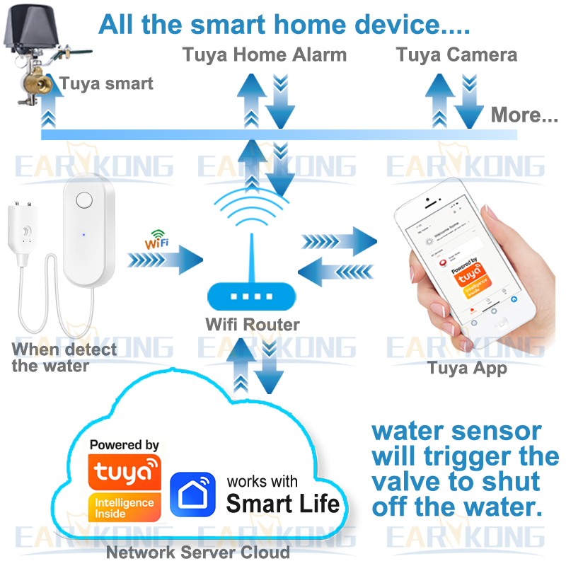 Tuya WiFi Smart Water Leak Sen - Water Alarm Sensor 评论和价格